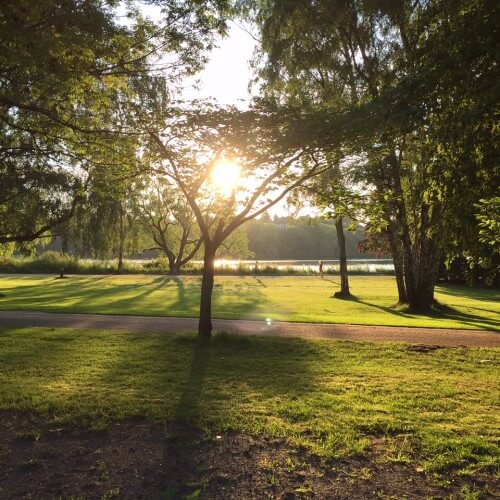 Nature - Außenalster - InspiredBySports.com