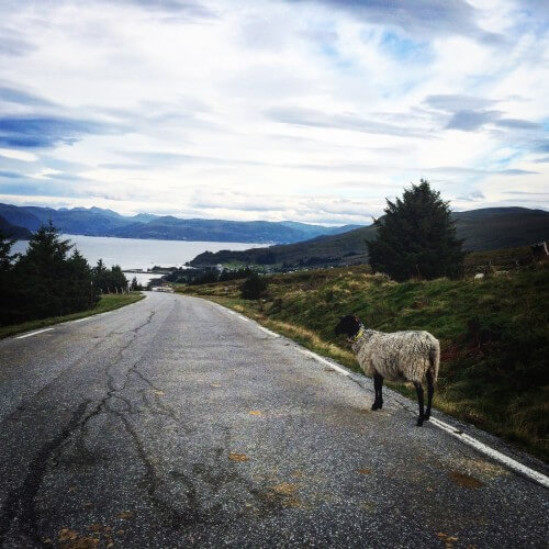 Wellenreiten in Norwegen