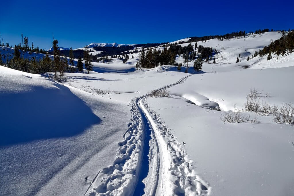 Skilanglauf