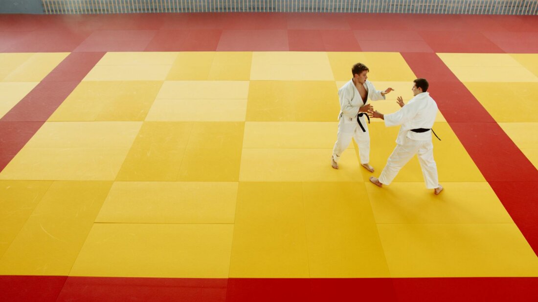 Die Essenz von Aikido
