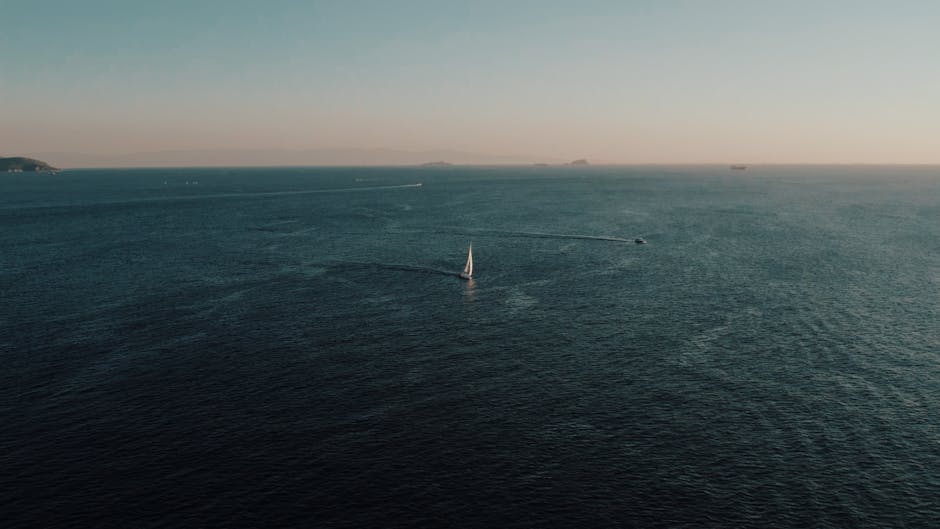 Segeln lernen 2026: In vier Wochenenden zum Sportbootführerschein See + Praxis